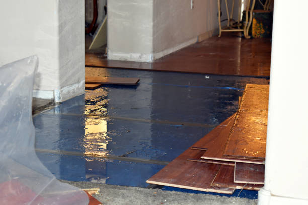 Professional Flood Cleanup technician working in Melvin, MI